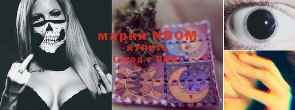 ГАЛЛЮЦИНОГЕННЫЕ ГРИБЫ Белокуриха