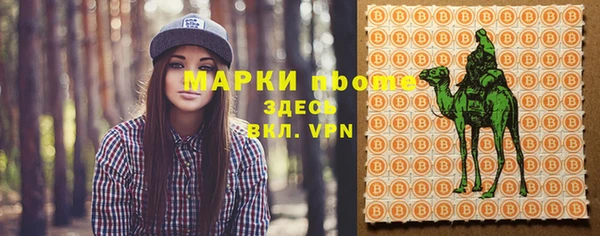 ГАЛЛЮЦИНОГЕННЫЕ ГРИБЫ Белокуриха