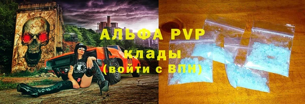 ГАЛЛЮЦИНОГЕННЫЕ ГРИБЫ Белокуриха
