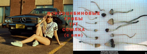 кристаллы Белоозёрский