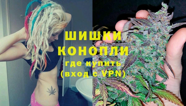 ГАЛЛЮЦИНОГЕННЫЕ ГРИБЫ Белокуриха